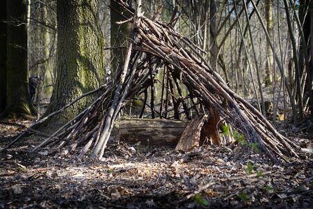 Stick hut house of twigs and branches in forest.の写真素材