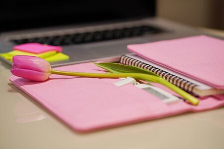 Business woman congratulations concept, pen, pink tulip on the table.の写真素材