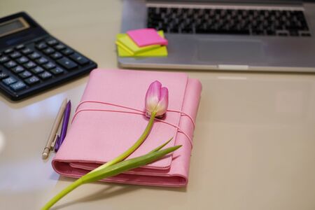 Business woman congratulations concept, pen, pink tulip on the table.の写真素材