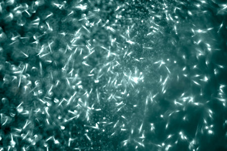 Christmas glamor luxury defocused lights, green christmas and glitter diamond background. ... High...