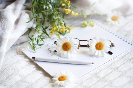 Blurred Cozy composition with daisies chamomile with Copy space. High quality photoの写真素材
