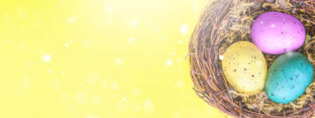 Easter composition with colorful Easter eggs in nest. Spring concept with copy space. . high quality photoの写真素材
