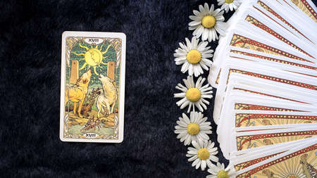 The Devil, Esoteric concept and astrology, Fortune telling tarot predictions background, Tarot...