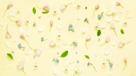 Summer fresh flowers on yellow background. high quality photoの写真素材