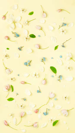 Summer fresh flowers on yellow background. high quality photoの写真素材