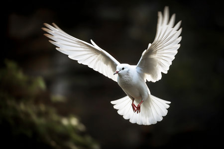 flying white Bird with open wings on a dark blurred background. Generative AIの素材