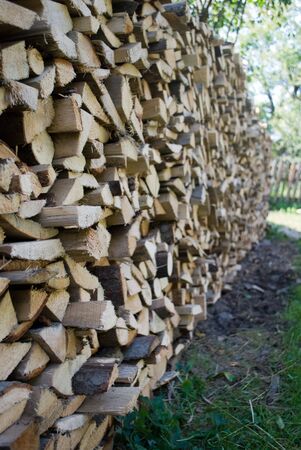Firewoods after the sawing wood