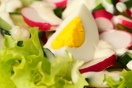 salad with slice of egg close up on green lettuceの写真素材