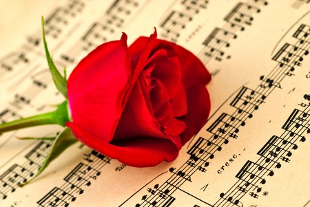 Ðusical notes and red rose. Selecrive focus, shallow deep of field.の写真素材