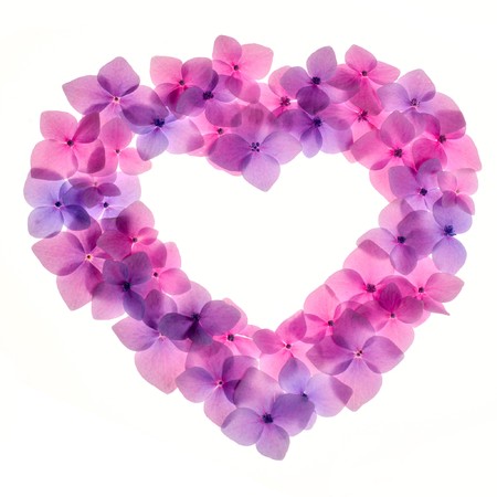 Pink flower background in shape of heart close up. Romantic and love pattern