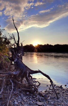 Fallen tree on the river, sunset on Tysaの写真素材
