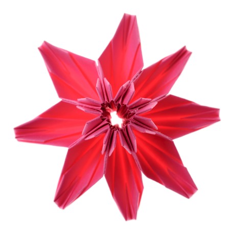 Origami flower from pink paper isolated on whiteの写真素材
