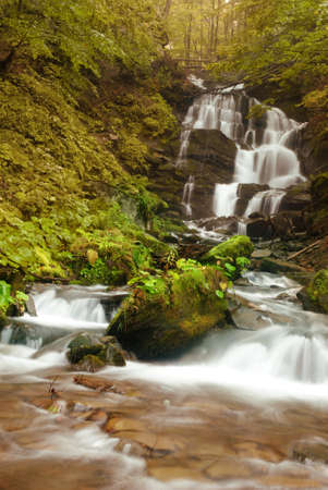 Waterfall in the forest on mountain river with stones