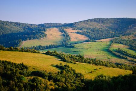 Beautiful blue sky and green grass and forest in Carpathian mountainsの写真素材
