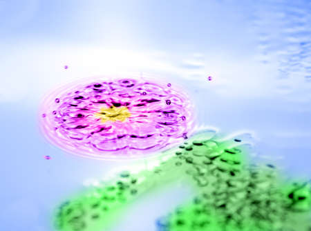 Water flower abstract from drops in free fall