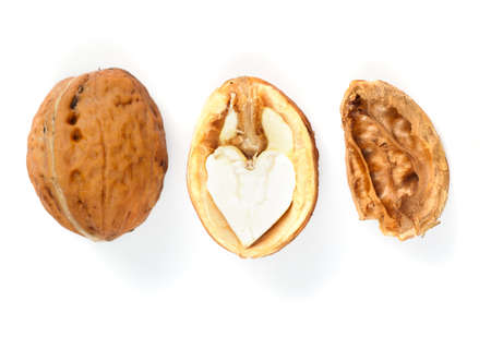 walnut and part of fresh nut isolated on white backgroundの写真素材