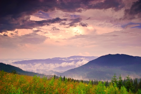 Landscape with fog in mountains and rows of treesの写真素材