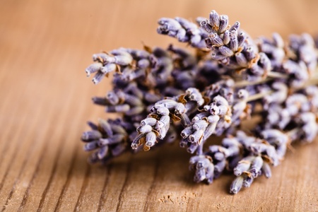 Lavender bunch on the wooden table closeupの写真素材