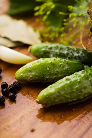 Preparation of small cucumber preserving on wooden tableの写真素材