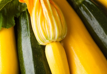 Yellow and green zucchini closeupの写真素材