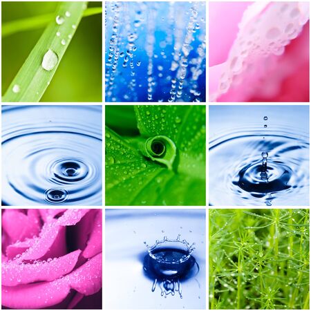 Water drop in nature closeup, abstract backgroundの写真素材