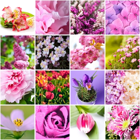 closeup beautiful lilac and pink flowers collageの写真素材