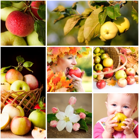 Fresh various apples closeup in situationsの写真素材