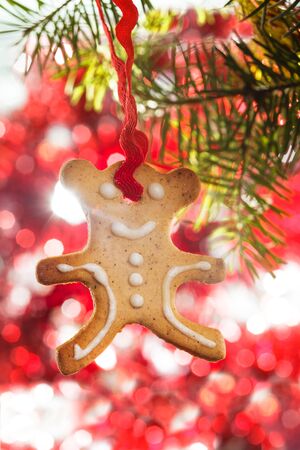 Traditional christmas gingerbread - bear on the fir branchの写真素材