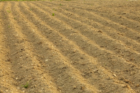 furrows on the field for cultivating plantsの写真素材