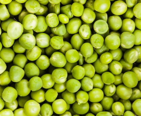 Green pea  with waterdrops scattered as a backgroundの写真素材