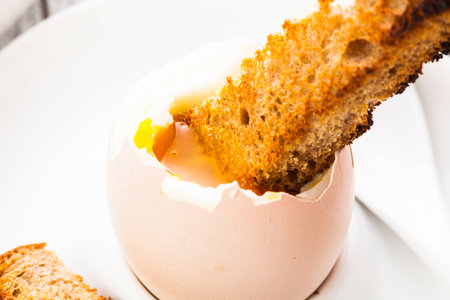 The soft-boiled egg in an eggcup with toasted bread