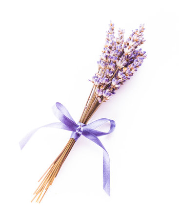Dry lavender bunch isolated on white backgroundの写真素材