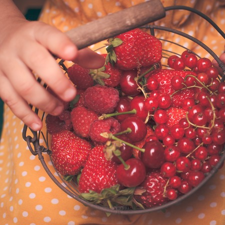 Little girl holds metal basket with summer fruitsの写真素材