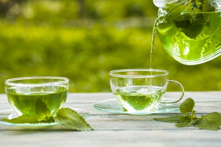 Herbal tea with melissa in a glass cup and teapotの写真素材