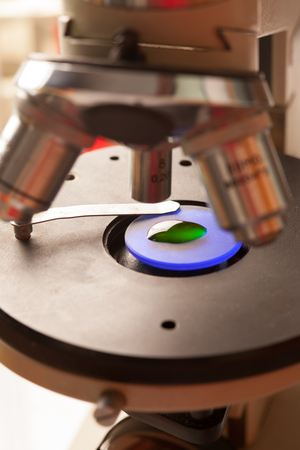 Microscope glass with liquid for research in laboratoryの写真素材