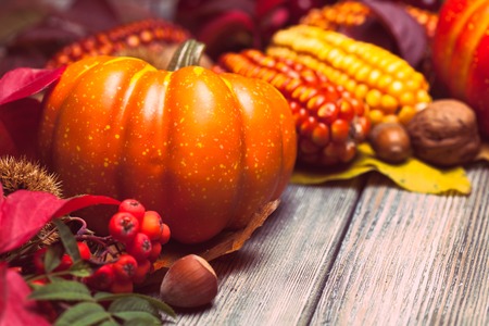 Thanksgiving still life - berries, nuts, corn and pumpkins on a tableの写真素材