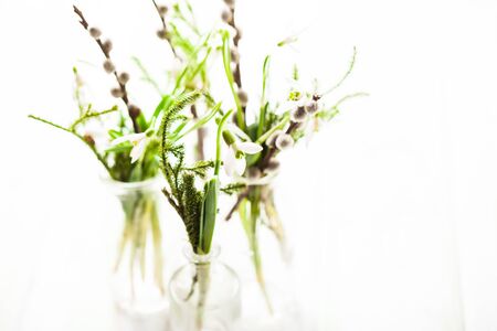 Snowdrops in the bottles, spring bouquetsの写真素材