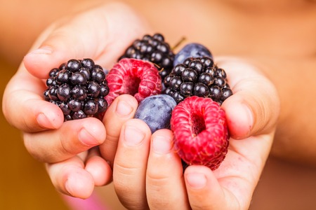 Summer wild berries in hands - raspberry, strawberry, blackberry and blueberryの写真素材