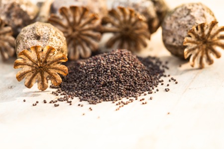 poppy seeds heap and dry flowers on the tableの写真素材