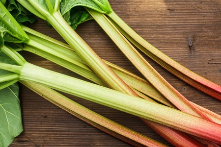 rhubarbの写真素材