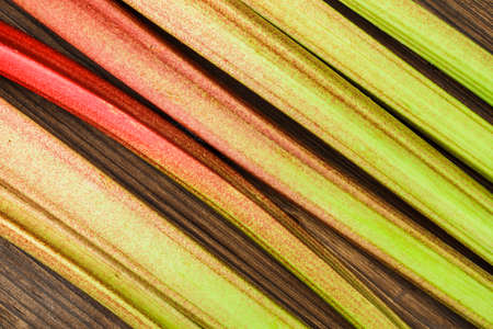 rhubarbの写真素材