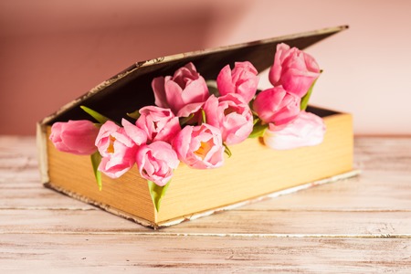 Shabby chic decoration - pink tulips in vintage bookの写真素材