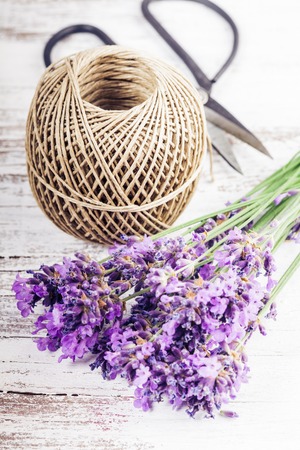 Fresh lavender on the white shabby wooden table with rope and scissorsの写真素材