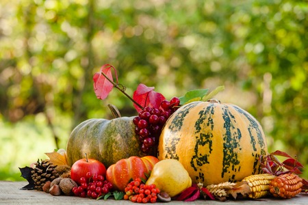 Happy Thanksgiving still life. Fruits, nuts and vegetables, fall crop on  the table outdoor