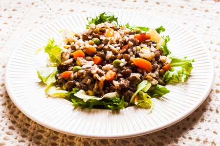 Salad with vegetables, rice and lentils on a plateの写真素材