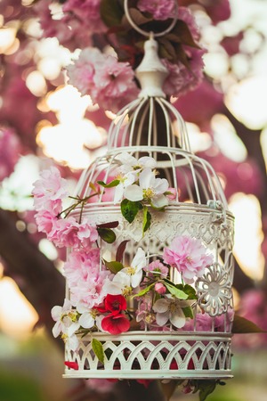 Bird cage with spring blossom of sakura and fruit flowers. Wedding decorations outdoors in the gardenの写真素材