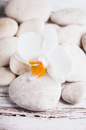 White orchid on the rebbles, spa conceptの写真素材