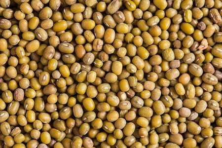 Top view of green mung beans texture as a backgroundの写真素材