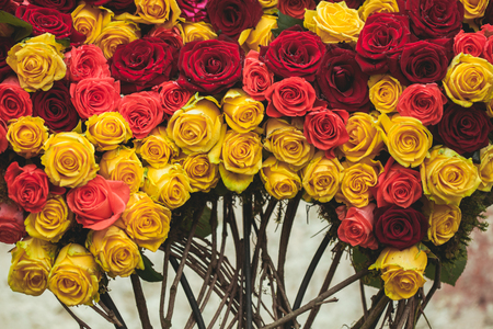 Luxury red and yellow roses for wedding metal arch decorationの写真素材