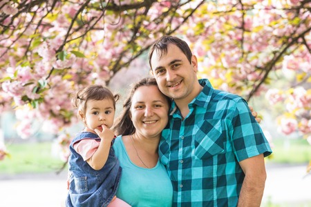 Girl is standing near mother and father against the backdrop of sakura blossomsの写真素材
